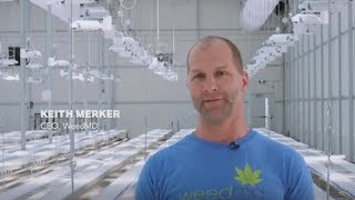 WeedMD Expands Cannabis Production at its Modern Greenhouse [upl. by Asset]