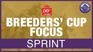 Breeders Cup Focus  Sprint 2024 [upl. by Llerod]