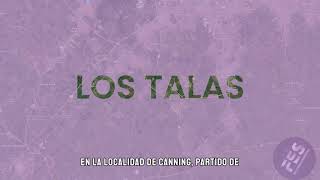 LOS TALAS [upl. by Favian]