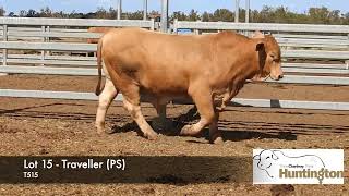 Lot 15  Traveller PS [upl. by Langdon]