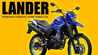 Yamaha Lander 250  Problemas crônicos e como corrigilos [upl. by Navad717]