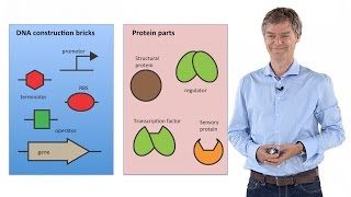 Synthetic Biology Principles and Applications  Jan Roelof van der Meer [upl. by Acinomahs]