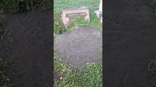 The biggest Ant Hill at the cemetery cemetery headstone tombstone haunted trending [upl. by Lledroc141]