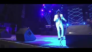 Romain Virgo  Sting 2013  Live Performance  December 2013 [upl. by Alekin335]