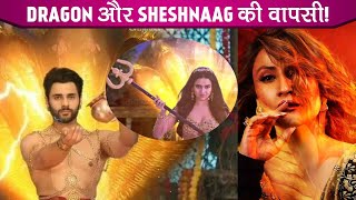 Naagin 6 UPDATE  Dragon Aur SheshNaag Ki Hogi Dhamakedaar Entry Kya Pratha De Payegi TAKKAR [upl. by Atinram]