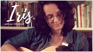 Iris  Goo Goo Dolls  Cover Miriam Spranger [upl. by Eytak]