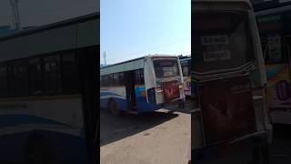 Vellore 🔁 Salem ➡️ express TNSTC BUS 👿TN83KOLORUBUSES tamilnadubus tnstc instagram travel [upl. by Gathard]