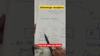 Adrenergic receptors shorts physiology nervous system CNS [upl. by Elysha]