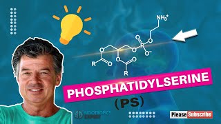 Phosphatidylserine [upl. by Aiuqes]