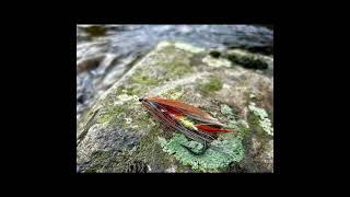 100 Years Ago on river Deveron – Heaviest UK FlyCaught Salmon 🎥D Miller [upl. by Ymrots94]