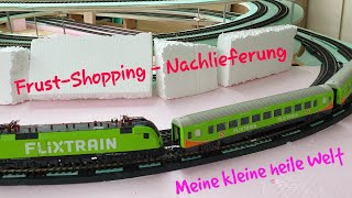 Modelleisenbahn H0  Piko Flixtrain Unboxing  Nachlieferung [upl. by Ecnerol]