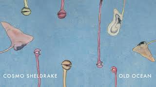 Cosmo Sheldrake  Old Ocean [upl. by Alsi]