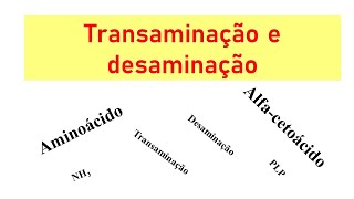 Metabolismo de aminoácidos transaminação e desaminação [upl. by Methuselah]