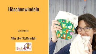 Stoffwindeln  Höschenwindeln Was ist das Wie teuer Wie viele [upl. by Nordek821]