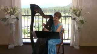 Fields of Gold on the Celtic Harp by Anne Roos [upl. by Biddle493]