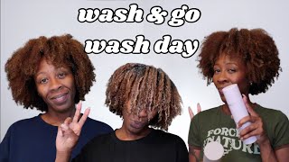 WASH AND GO WITH BREAD Black Owned Wash Day Heyknottygirl [upl. by Nimesay309]