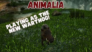 Warthog Gameplay Part 1  Animalia Survival [upl. by Hakan]