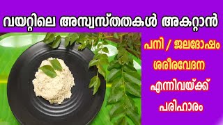 ദഹനപ്രശ്‌നങ്ങൾ പനി ശരീരവേദന എന്നിവയ്ക്ക് ആശ്വാസം Home Remedy For Upset Stomach [upl. by Elohcin]