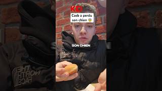 CSEB SE FAIT RETIRER SON CHIEN POUR MALTRAITANCE 😨 shorts drama cseb springonshorts tiktok [upl. by Iramaj]