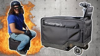 The Modobag Suitcase Is My New Hot Ride [upl. by Erlin30]