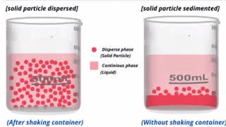 the definition of suspension difference between deflocculated and flocculated suspension👍 [upl. by Cutcheon]