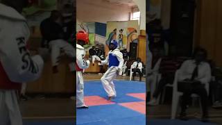 Perfect spin kick taekwondo martialarts karate [upl. by Zilla122]