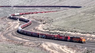 Los Trenes Más Largos del Mundo [upl. by Feilak935]