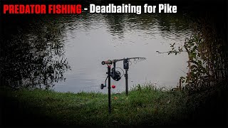 Deadbaiting for Pike on Cotswold Gravel Pit  CRAZY Action [upl. by Mays689]