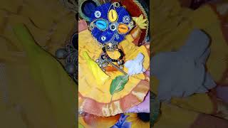 Kanhaiya Prem karne ki Saja🙏Krishna bhajanshortsvideo [upl. by Howlyn879]