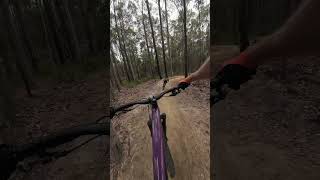 Nowra Now Has Rad MTB Jumps Funnel Web Trail at Superbowl [upl. by Krystal155]