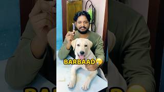 Pogo Makeup Kit Kha Gya😂😂 shorts vlog minivlog puppy labrador [upl. by Atikir]