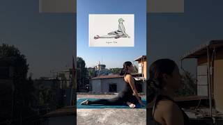 Yoga inspired by animals 🧘‍♀️yoga yogapractice yogainspiration shorts shortsfeed youtube [upl. by Biamonte]