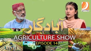 Abadgar The Agriculture Show Episode 14  Host Ayaz Gaad  Guest Bindia Junejo  Dharti Tv [upl. by Acirat]