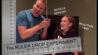 Reaction Time The Ruler Drop Test Experiment muscle memory  science project [upl. by Solomon]