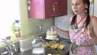 How To Make Fermented Lemonade [upl. by Adnileb]