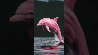 Amazon mysterious Pink Dolphin storytelling amazingfacts amazon shorts shortvideo facts [upl. by Nibbs]