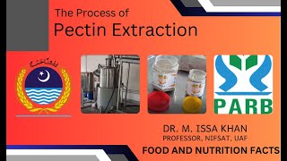 Pectin Extraction Process  PARB2042  Dr M Issa Khan [upl. by Vince]