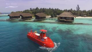 Best Dives Maldives  Semi Submarine [upl. by Minette848]