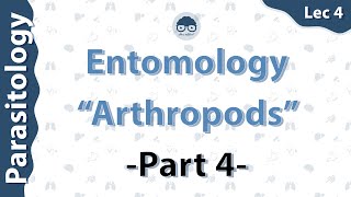 Parasitology  Entomology quotArthropodsquot Introduction Lec4  part 4  Dr Amro Ashraf [upl. by Kcirded913]