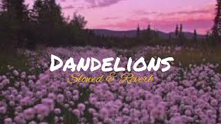 Ruth B  Dandelions Slowed amp Reverb [upl. by Atarman617]