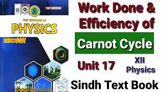 Efficiency of Carnot Engine XII Physics [upl. by Selimah]