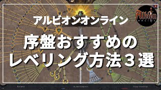 【アルビオンオンライン】序盤おすすめのレベリング3選 [upl. by Xenia146]