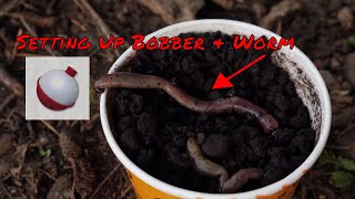 Trout Fishing Worms  How To Set Up Bobber amp Worm For Trout Fishing Lakes Or Ponds [upl. by Maurise]