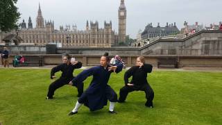 Wudang Tai Chi 36step with Yuan Li Min in London  first part [upl. by Sewel]