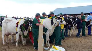 Agro Targi Rolnicze w Lubaniu k Kościerzyny  Czerwiec 2010 [upl. by Esya48]