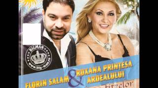 Florin Salam si Roxana Printesa Ardealului  Am acasa un tablou 2011 [upl. by Salguod]