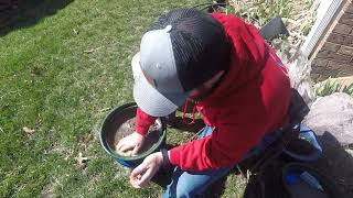 Heavy finds  Part 2  classifying and running dirt from a river in Missouri [upl. by Culbert]