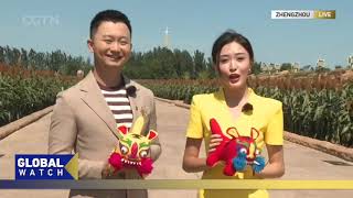 CGTN explores Chinese Farmers Harvest Festival celebrations in Henan [upl. by Amzu177]