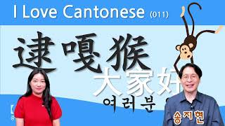 【중콘】  I Love Cantonese 011  쉽고 재미있는 광동어  大家好  逮嘎猴  원숭이  广东话  粤语  여러분 안녕하세요  雷猴  陈依诺 [upl. by Tut]