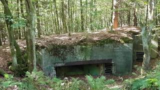 Westwall Bunker 131  Hürtgenwald Germany  WW2  2018 [upl. by Delphine]